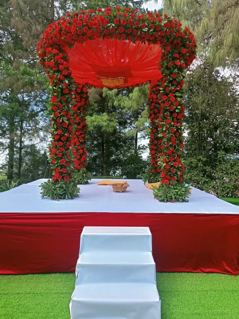 Portfolio image 5
