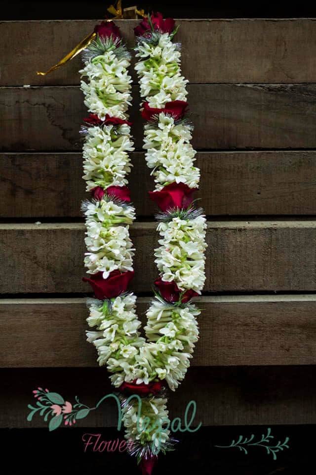 Portfolio image 12